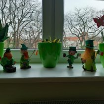 Paddy's Day
